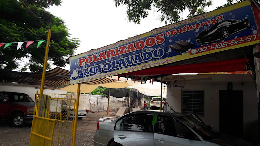 Polarizados Gutierrez